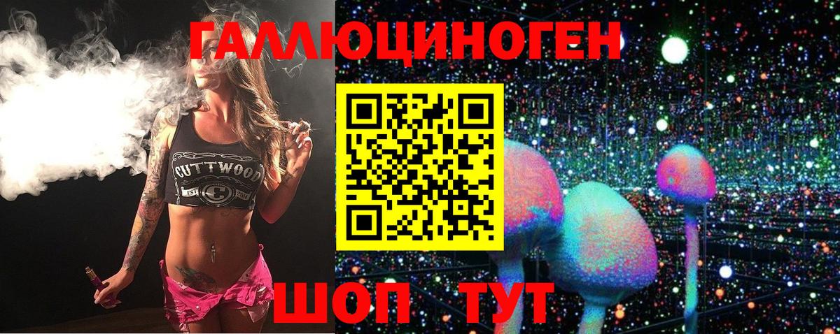 Галлюциногенные грибы Psilocybe Каспийск