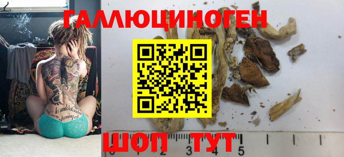 Галлюциногенные грибы мицелий  Вход с VPN  Каспийск 
